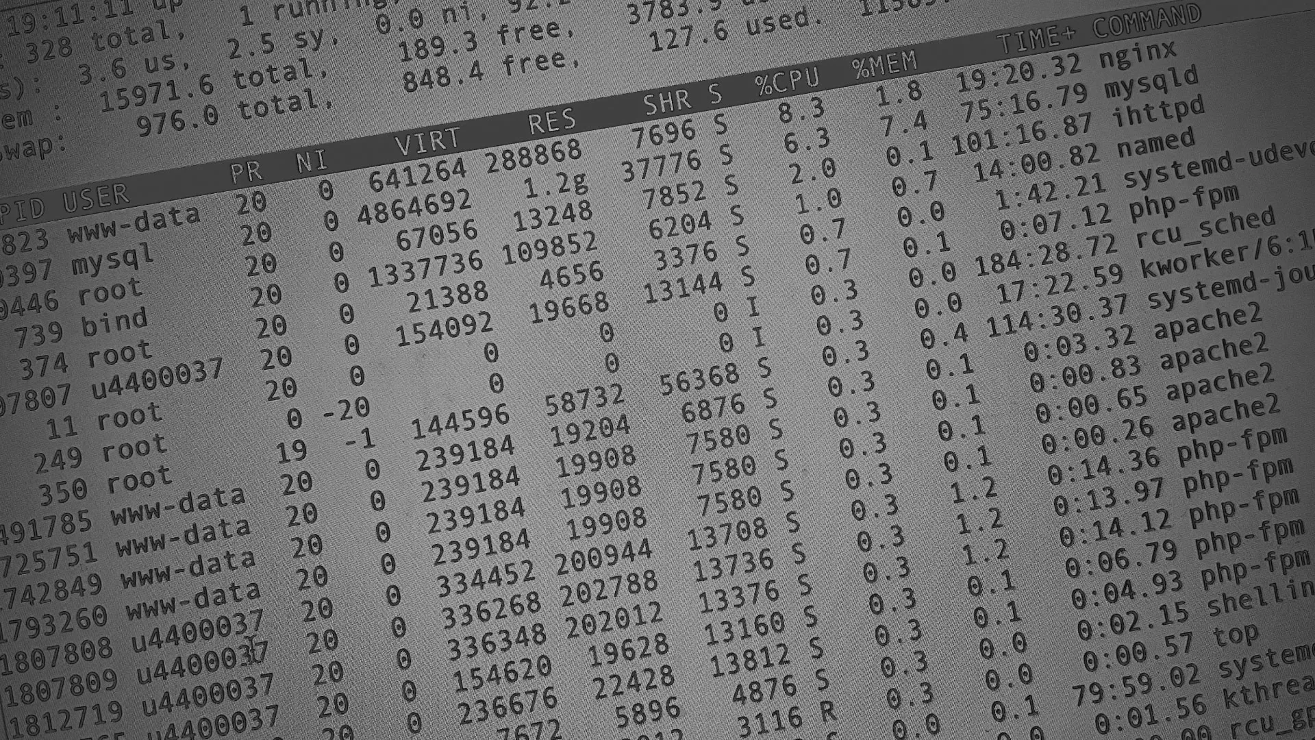 Настройка сервера в Новодвинске